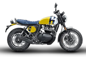 Bear 650