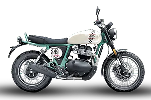 Bear 650