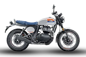Bear 650