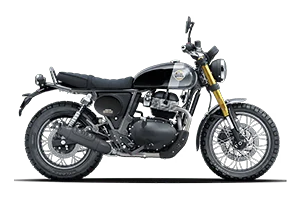 Bear 650